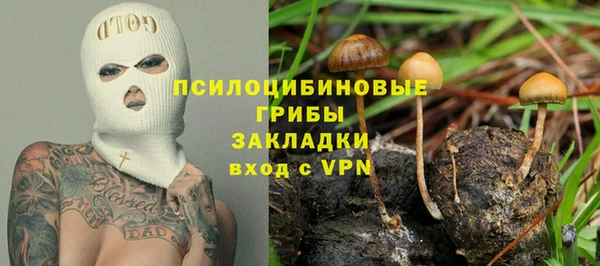 дживик Карпинск
