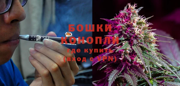 дживик Карпинск